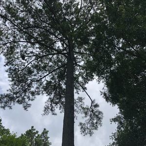 Meet your Posher, Lloyd